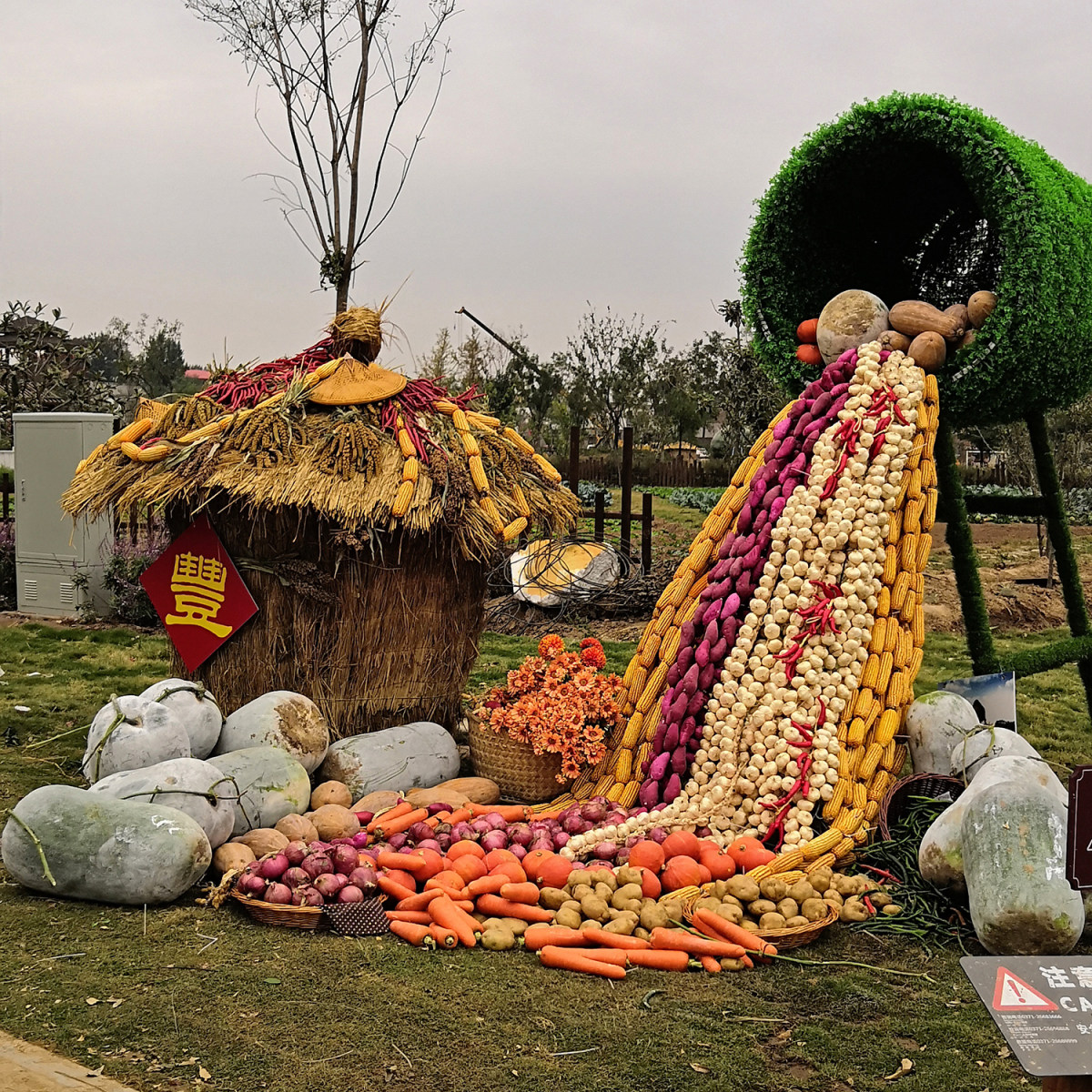 玉米苞叶,高粱杆,芝麻杆,废弃农作物变身艺术景观,亮相河南丰收节