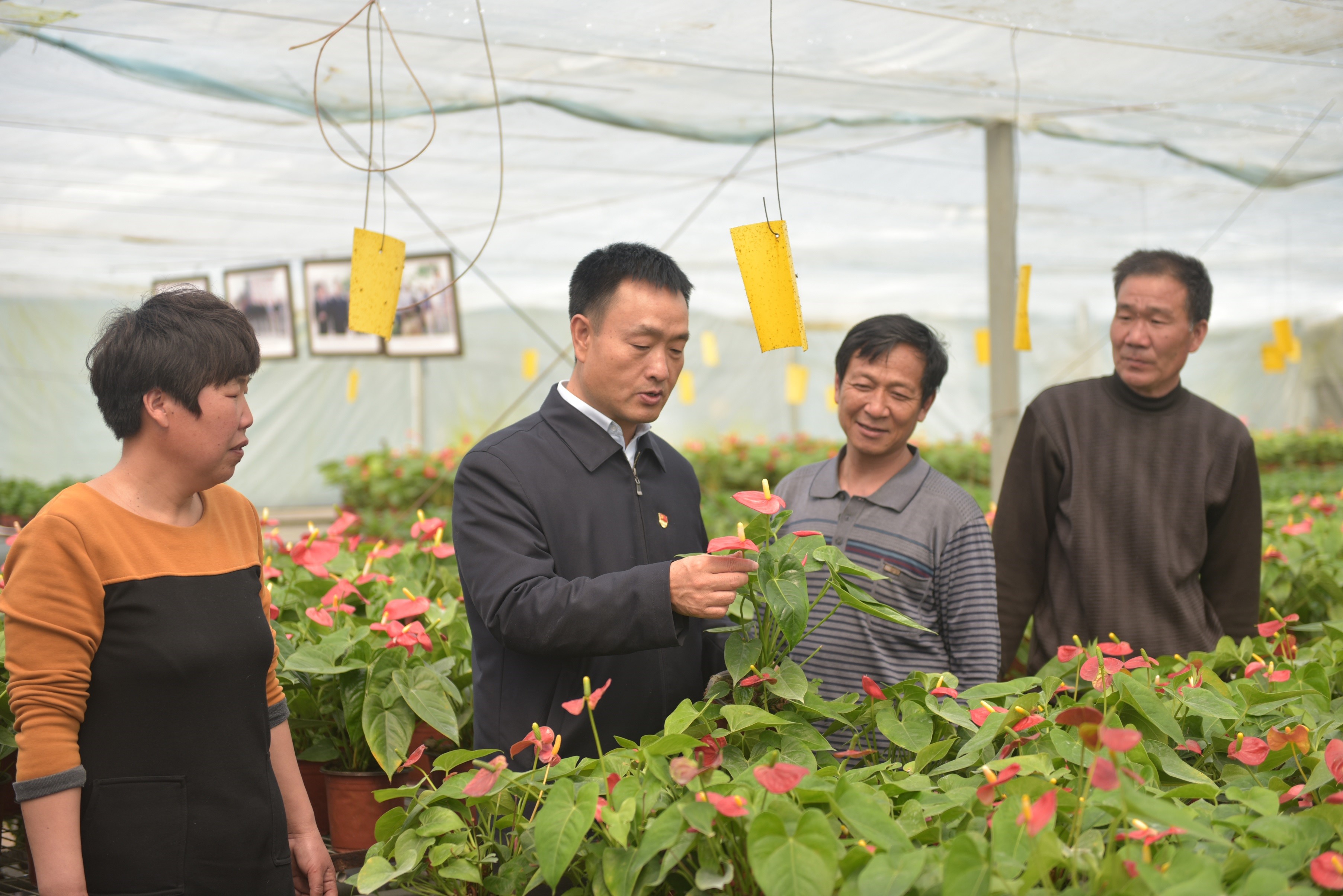 裴春亮经常到大棚了解鲜花蔬菜生产情况.jpg