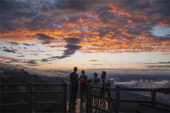 重磅！央视镜头再次聚焦老君山，这次是因为……