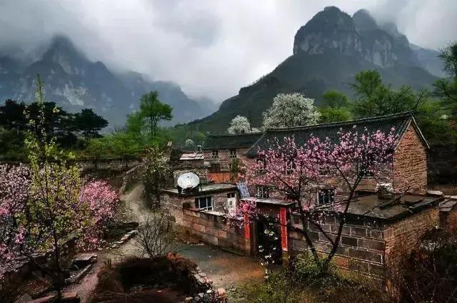 又到一年桃花季，梦中桃源太行寻！