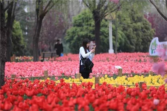 绿博园：2019春季问花节3月30日开幕