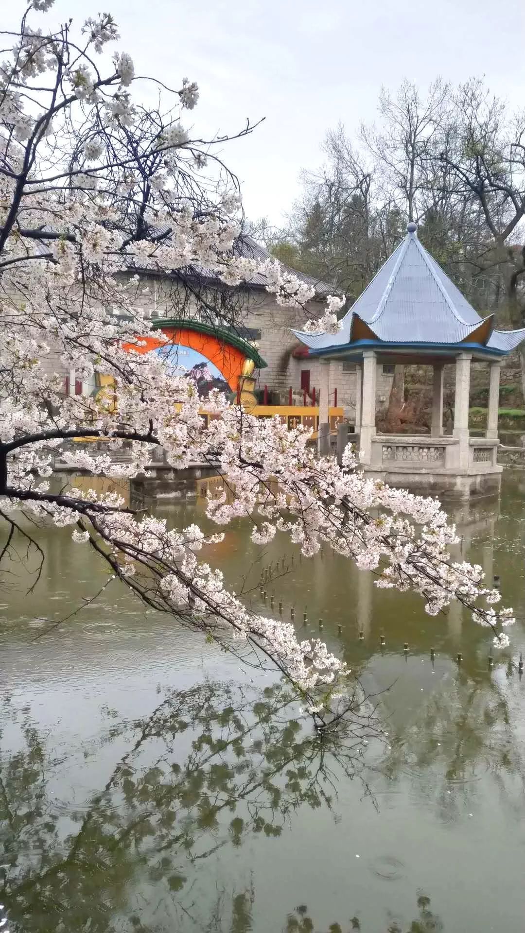 踏春赏景看节目，鸡公山铁花DJ音乐节等你来！