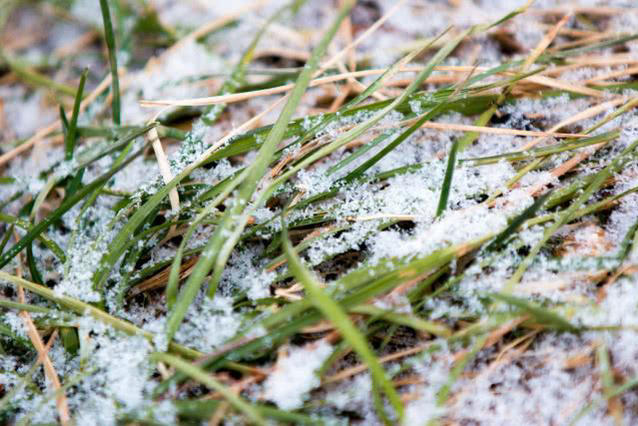 河南这场雪，信阳下得最大！明后天这10个地方还有雨雪