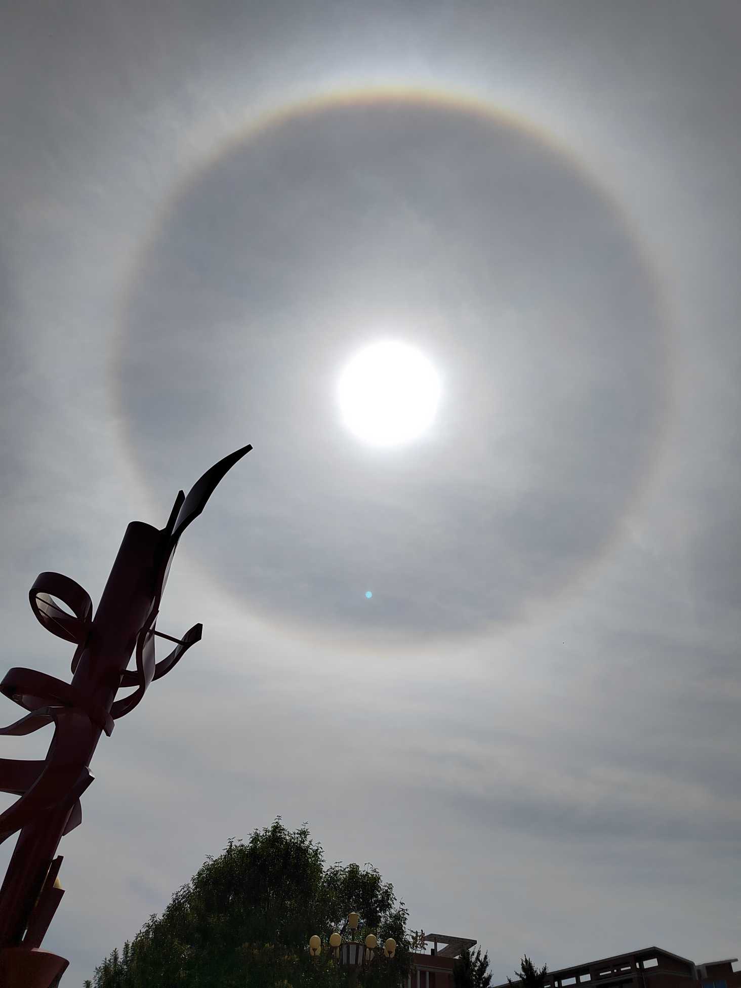 你看到了吗?今天,周口上空的太阳披上了光环