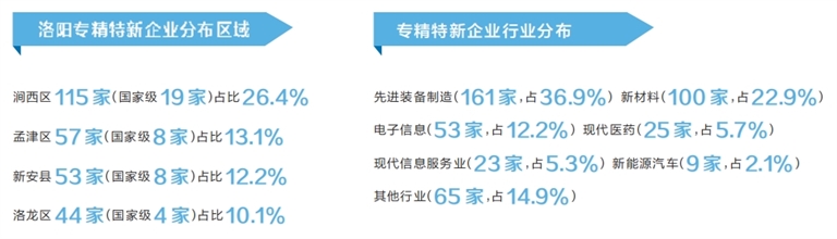 全市专精特新企业数量两年翻一番 洛阳：“小巨人”何以迸发大能量