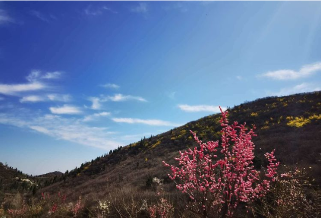 鞏義多家景區月底前免門票